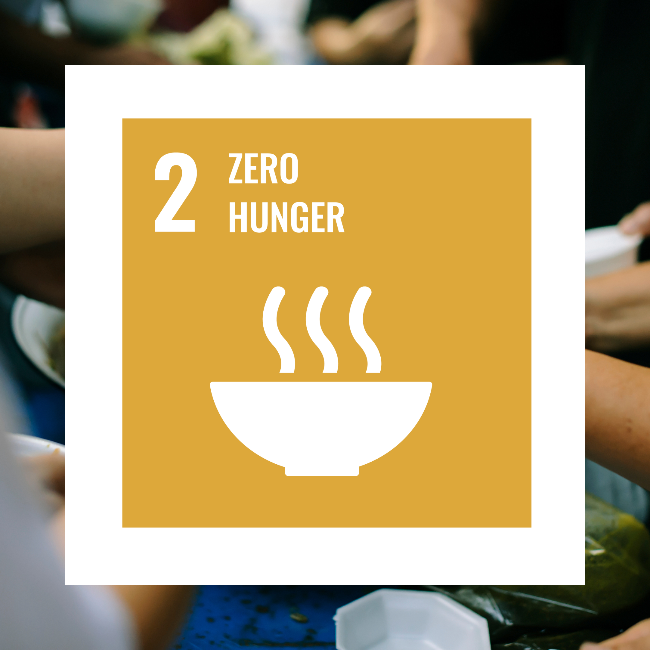 The image depicts the logo for SDG2, Zero Hunger. In the background are hands reaching for food.