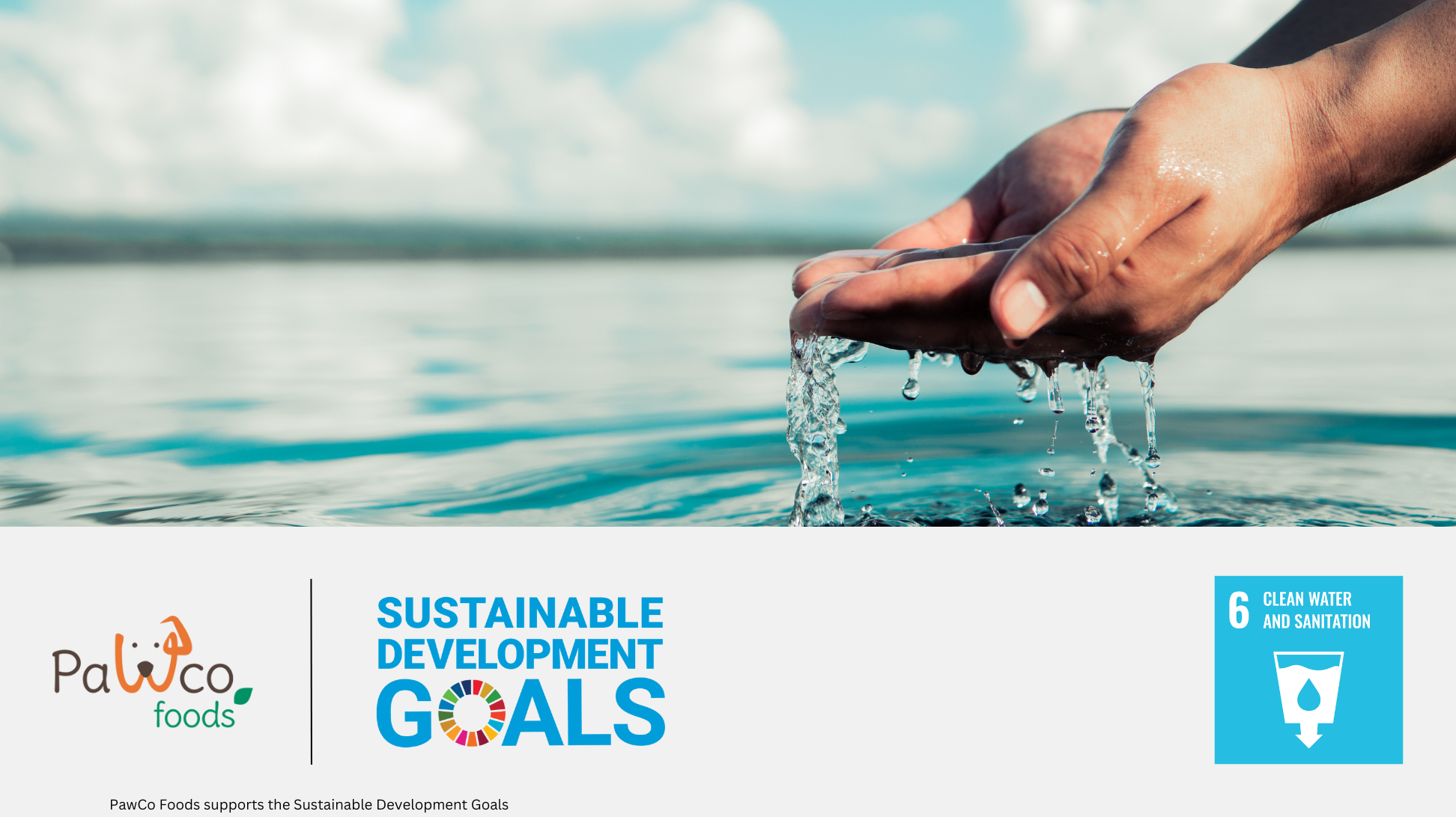 The image shows a closeup of hands scooping water from a large body of water. The water is running through the fingers and back into the sea or lake. At the bottom of the image is a section that shows the logos of PawCo Foods and UN's Sustainable Development Goals, as well as the logo for SDG 6, Clean Water and Sanitation.