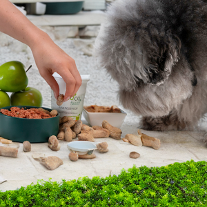 Person's hand placing a treat into a bowl of vegan dog food next to a fluffy gray dog sniffing the food. Green apples and PawCo Foods containers are visible in the background.